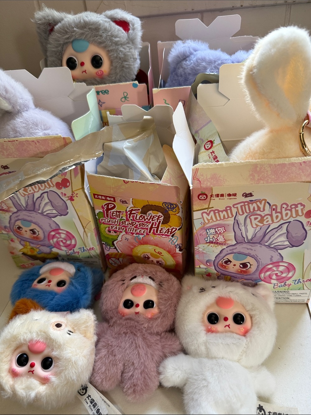 baby three large bundle - billionaire cat mini tiny rabbit